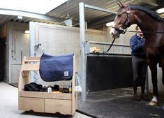 a man standing next to a brown horse near a stall with a blue blanket on it