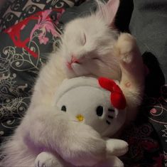 a white cat sleeping next to a hello kitty stuffed animal