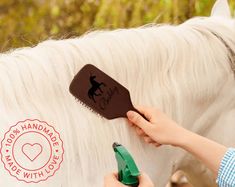 a woman brushing the mane of a white horse with a green blow dryer on it's head