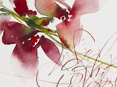 a watercolor painting of red flowers on a white background