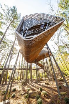 an unusual wooden structure in the woods