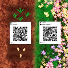 two images side by side, one with flowers and the other with qr code