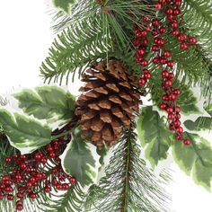 a pine cone and red berries are hanging from a christmas tree branch with green leaves