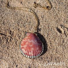 Straight from the ocean. This pretty in pink scallop seashell necklace is handmade and outlined with gold. It's quite a stunner & compliments any outfit. We totally love the simplicity and the uniqueness of the seashell pendant. No two are alike, they are real seashells and unique just like you. Scallop seashell with raffia loop Gold link chain Gold outline around seashell, each unique no two alike Adjustable length: 17" - 19" Pendant: W 1 1/2" x 1 1/2" Jewelry pouch included (color may differ) Pink Shell Necklace Gift, Scallop Seashell, Seashell Pendants, Gold Link Chain, Seashell Necklace, Gold Link, Chain Gold, Jewelry Pouch, The Ocean