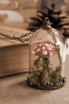 a small mushroom in a glass dome on a chain