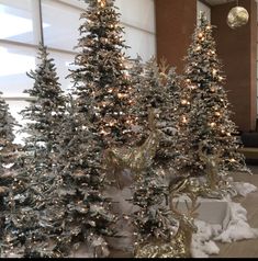 christmas trees are lined up in the lobby