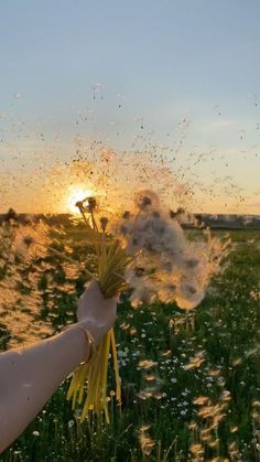 a person holding flowers in their hand with the sun setting behind them and flying around