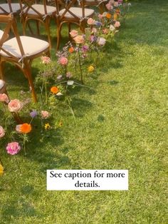 rows of chairs lined up in the grass with flowers growing between them and a sign that says see caption for more details