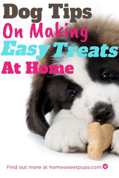 a puppy chewing on a bone with the words dog tips on making easy treats at home