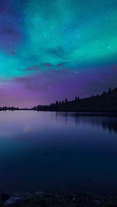 the night sky is filled with green and purple aurora bores over a body of water