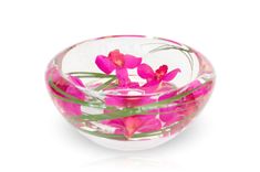 a glass bowl with pink flowers in it on a white background, the bowl is filled with water