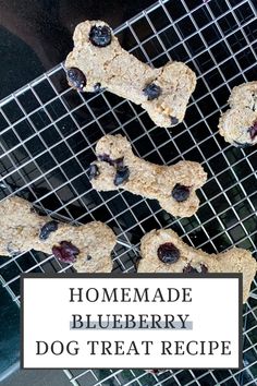 homemade blueberry dog treat recipe on a cooling rack