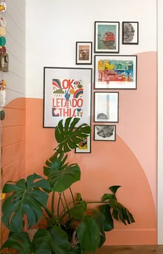 there is a plant and pictures on the wall