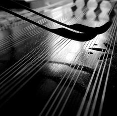 a black and white photo of a wooden floor with lines on the ground in front of it