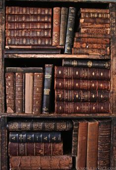 an old bookcase filled with lots of books