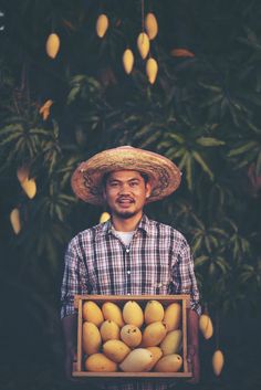 a man wearing a straw hat holding a box of mangoes