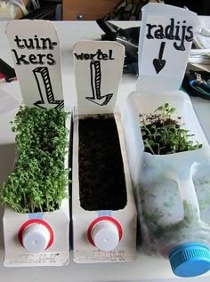 three planters with plants in them sitting on a table next to other containers and papers