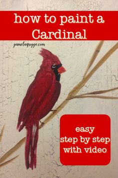 a red bird sitting on top of a tree branch with the words how to paint a cardinal