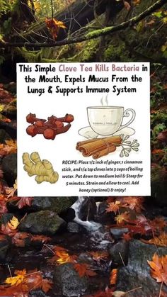 Witchcraft Cold Remedies, Holistic Healing For Colds, Herbal Tea For Mucus, Holistic Sick Remedies, Witch Tips For Sickness, Lung Detox Home Remedies, Herbs For Asthma, Herbs For Lung Health, Clove Tea