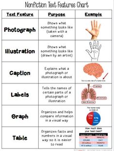 Non Fiction Text Features Chart Text And Graphic Features Anchor Chart, Text Features Worksheet, Text Structures, Third Grade Reading, 5th Grade Reading