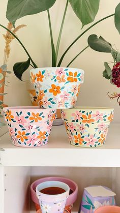 several flower pots are sitting on a shelf