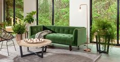 a living room filled with furniture and lots of green plants on the windows sill