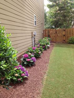 some purple and pink flowers in front of a brown house with a wooden fence behind it