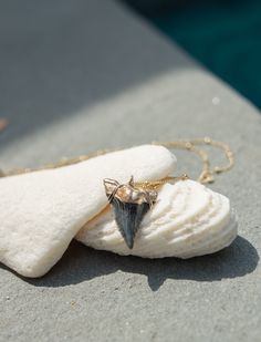 A gorgeous prehistoric shark tooth necklace that is exquisite down to the last details. Our Hemi shark tooth necklace features an authentic piece of our prehistoric past that was hand-found and recovered by Foxy Fossils in Charleston, SC (legally, responsibly, conservatively, and ethically). This fossil tooth dates back 15-18 million years and is from the Hemipristis serra or “Hemi” shark (AKA “Snaggletooth”). The Hemipristis serra fossilized shark teeth are very distinct and are known for their Shark Conservation, Shark Tooth Pendant, Species Of Sharks, Sea Necklace, Shark Tooth Necklace, Fossil Teeth, Fossil Jewelry, Tooth Necklace, Gold Tips