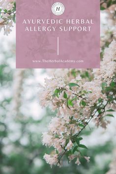 white flowers with the words avervedic herb allergy support