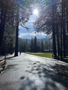 the sun shines brightly through the trees on a road in front of some pine trees