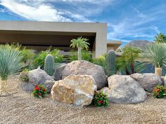 some rocks and plants in front of a house