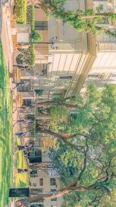 an overhead view of trees and buildings on a sunny day