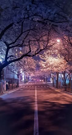 an empty street lined with trees in the night