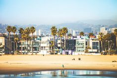 a beach with palm trees and buildings in the background