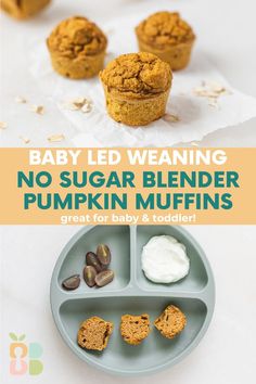 baby led weaning no sugar blender pumpkin muffins are great for babies and toddlers