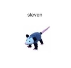 an animal that is standing up with the word steven on it's back