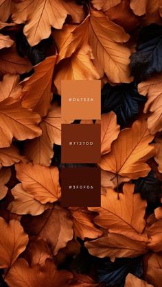 an image of autumn leaves with the words autumn written in brown and orange on them