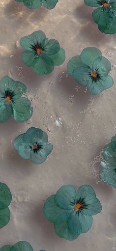 green flowers floating on top of a body of water