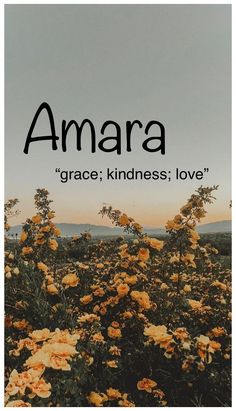 an image of flowers with the words amara grace kindness love