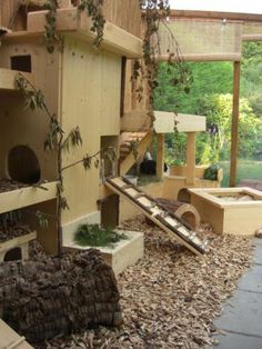 a bunch of birds that are in some kind of bird house with wood chips on the ground