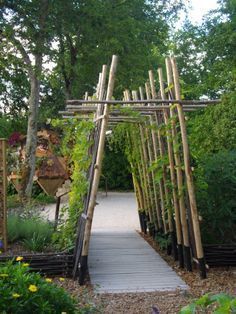 a garden with lots of trees and plants growing on top of it, along with a wooden walkway