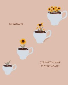 three coffee cups with sunflowers growing out of them and the words on growth it's okay to have to start again