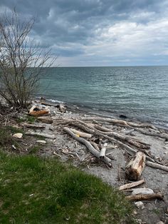 the beach is littered with driftwood and grass on a cloudy day in front of the ocean