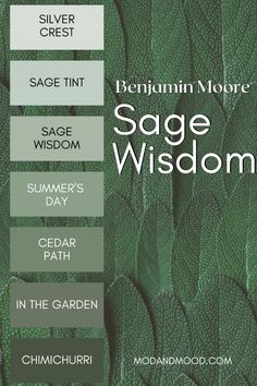 the sage wisdom guide for beginners to learn sage and how to use it in the garden