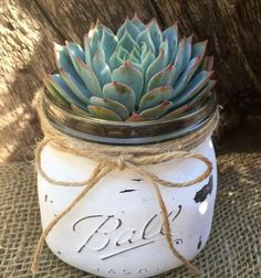 a mason jar with a succulent plant in it