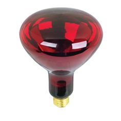 Feit Electric BR40 250-Watt 120-Volt Incandescent Red Heat Lamp Light Bulb - Super Arbor Heat Lamp Bulbs, Red Energy, Heat Lamp, Incandescent Light Bulb, Heat Lamps, Incandescent Lamp, Dimmable Lamp, Incandescent Lighting, Lamp Bulb