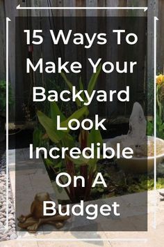 a backyard with a birdbath and plants on the ground, text overlay reads 15 ways to make your backyard look incredible on a budget