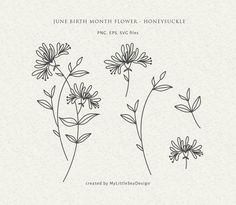 three flowers are shown with the words june birth month flower - honeysuck