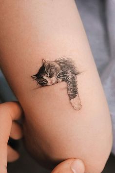 a cat tattoo on the arm of a woman