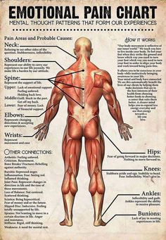 Pain Chart, Wellness Selfcare, Body Pain, Decoration Room, Mental And Emotional Health, Massage Therapist, Reflexology, Health Info, Acupressure